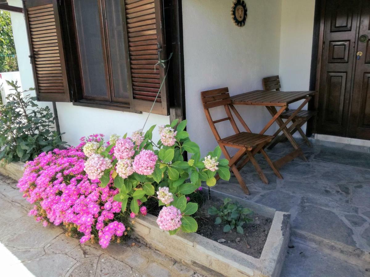 Jenny'S Garden Apartment Vourvourou Exterior photo